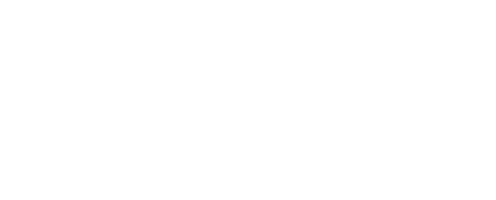Spitex Schwab